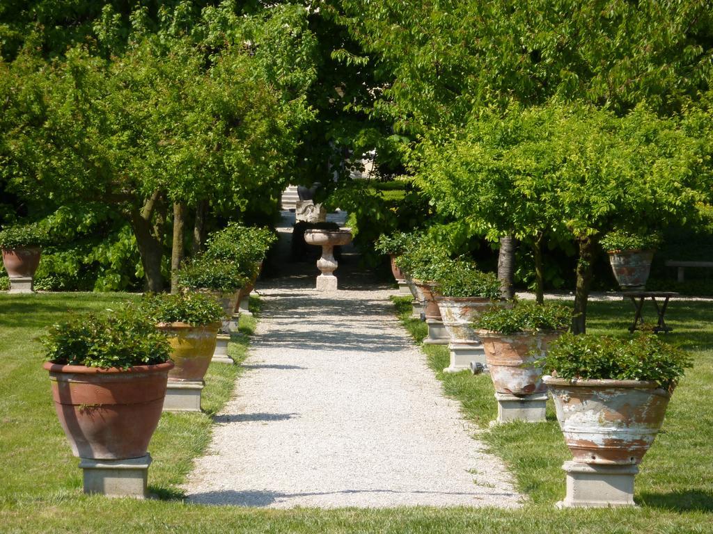 Villa Alberti Dolo Dış mekan fotoğraf